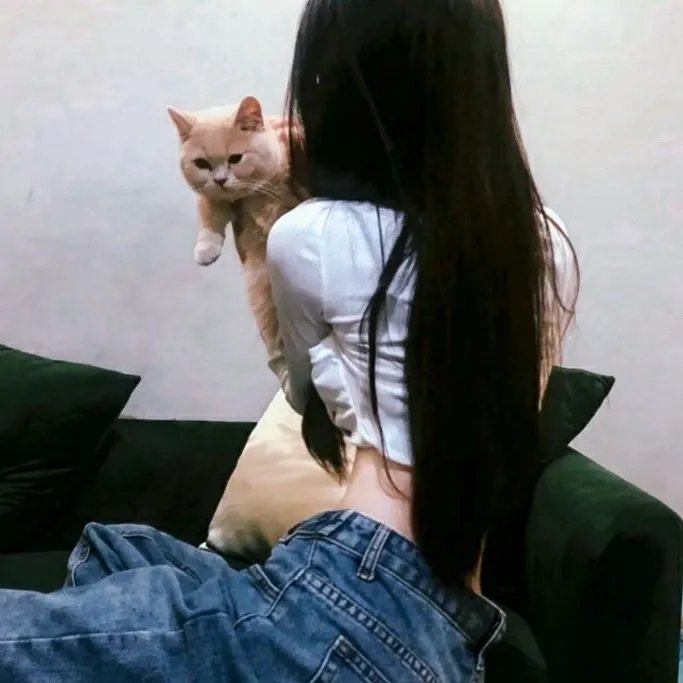姜戈与姜戈 在线观看